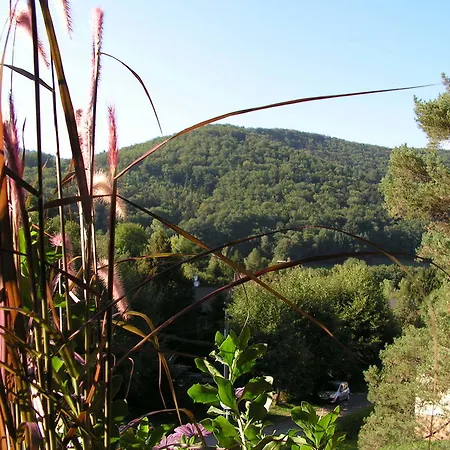 Buhl De Bonheur Villa Guebwiller Buitenkant foto