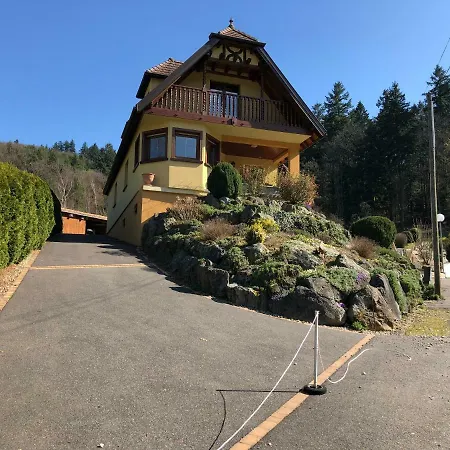 Buhl De Bonheur Villa Guebwiller Buitenkant foto